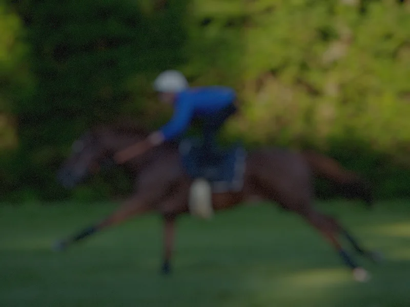 HANKO Studio - Web design - Bloodstockracing