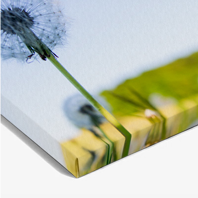 HANKO Studio - Print type - Canvas