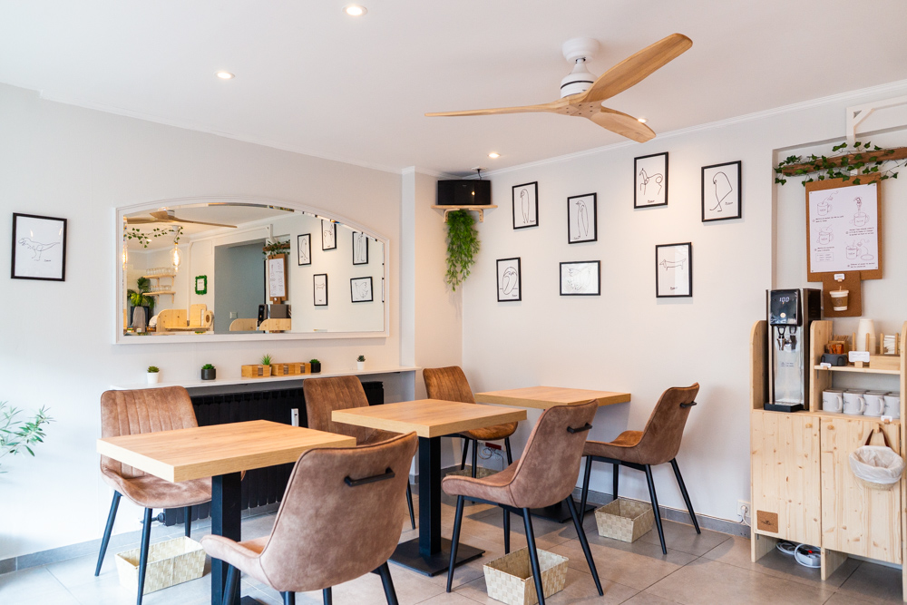 HANKO Studio - Photography Services Portfolio